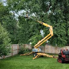  Folkston, GA Tree Removal Services Pros